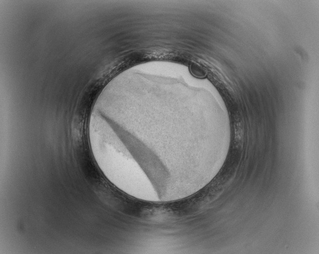 X0000116650503201001041053