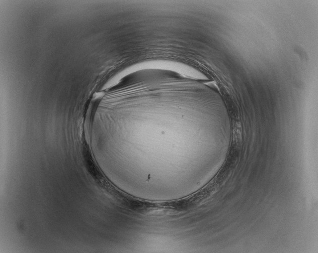 X0000116650504201001041053