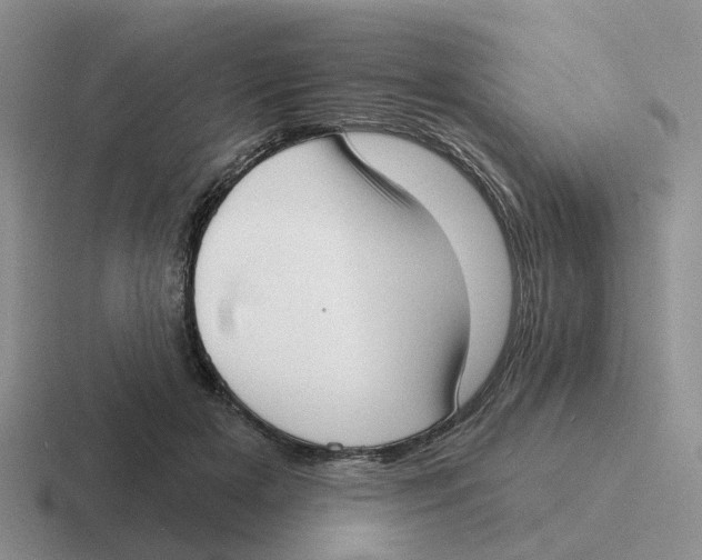 X0000116650505201001041053