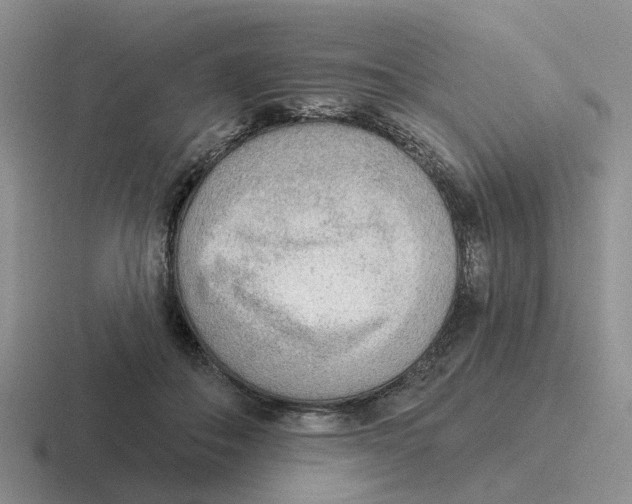 X0000116650506201001041053