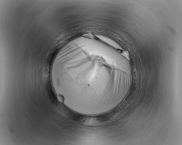 X0000116650507201001041053