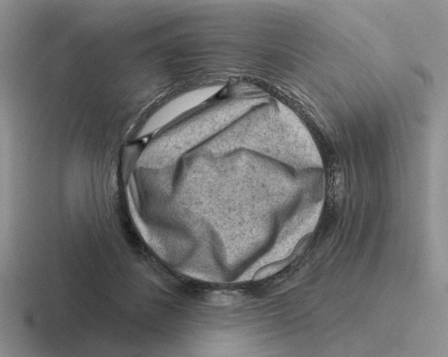 X0000116650508201001041053