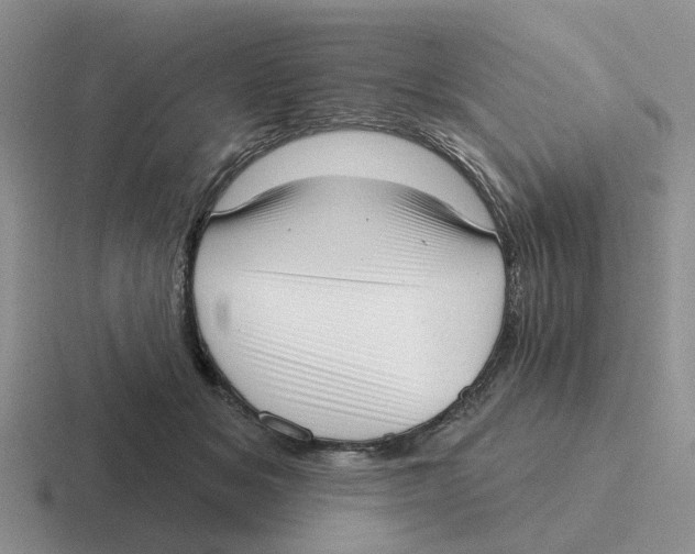 X0000116650509201001041053