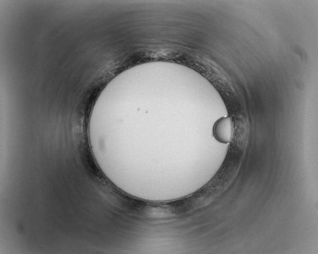 X0000116650510201001041053