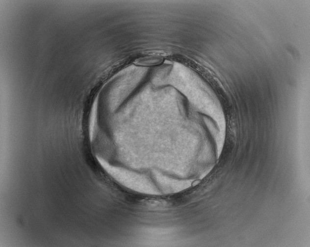 X0000116650512201001041053