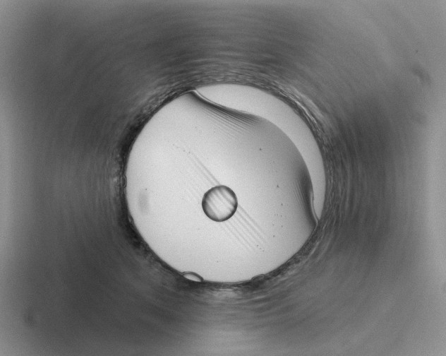 X0000116650513201001041053