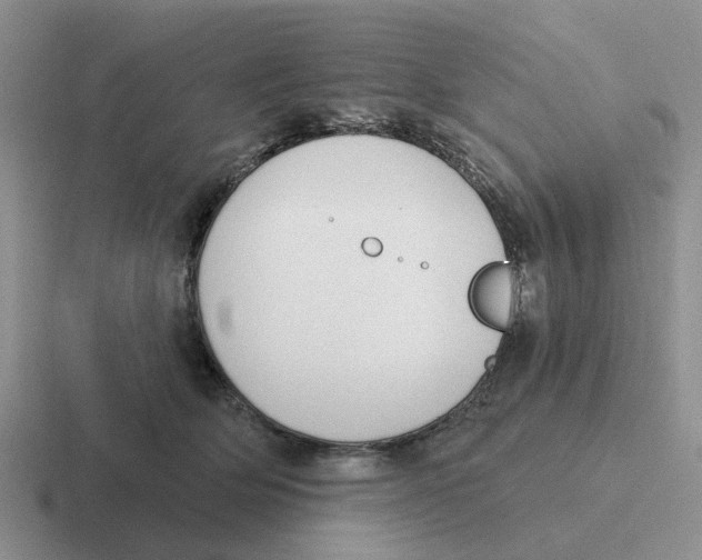 X0000116650514201001041053