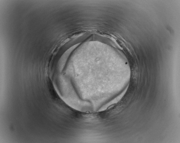 X0000116650516201001041053