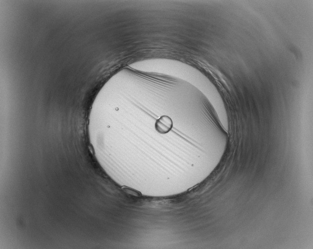 X0000116650517201001041053