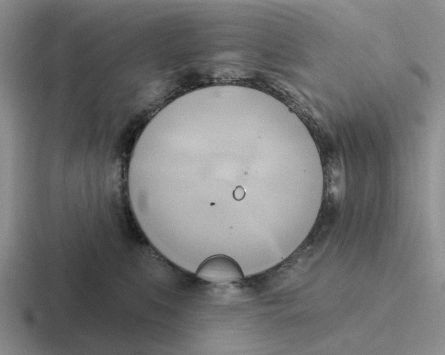 X0000116650519201001041053