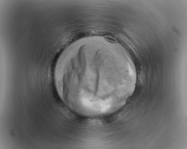 X0000116650520201001041053