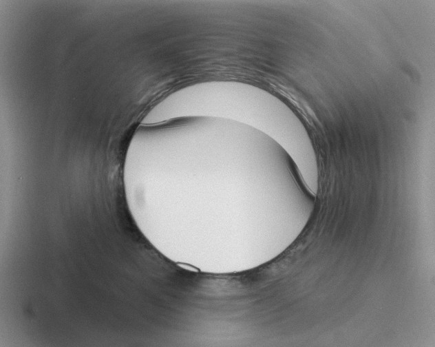 X0000116650521201001041053