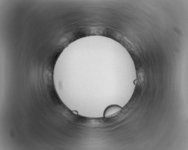 X0000116650522201001041053