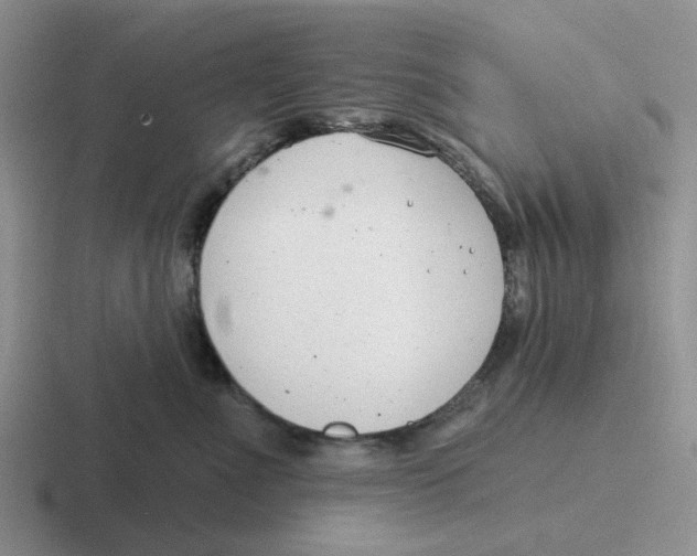 X0000116650523201001041053