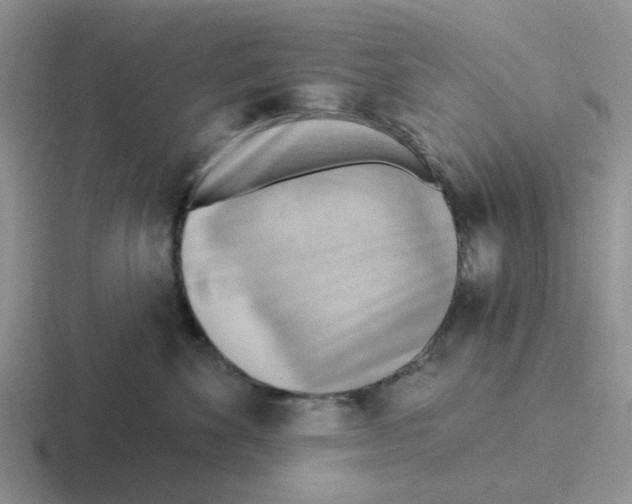 X0000116650524201001041053