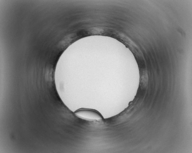 X0000116650525201001041053