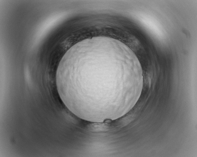 X0000116650526201001041053