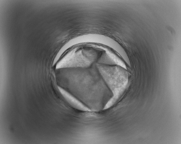 X0000116650528201001041052