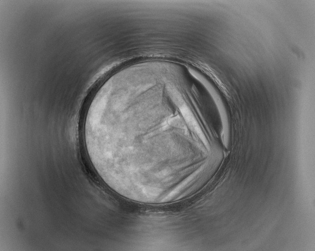 X0000116650531201001041052