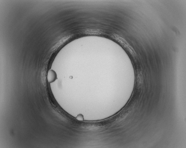 X0000116650533201001041052