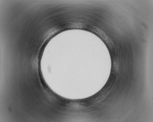 X0000116650534201001041052