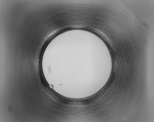 X0000116650535201001041052