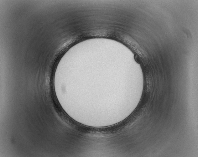 X0000116650538201001041052