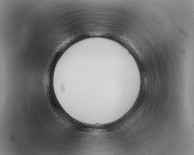 X0000116650539201001041052