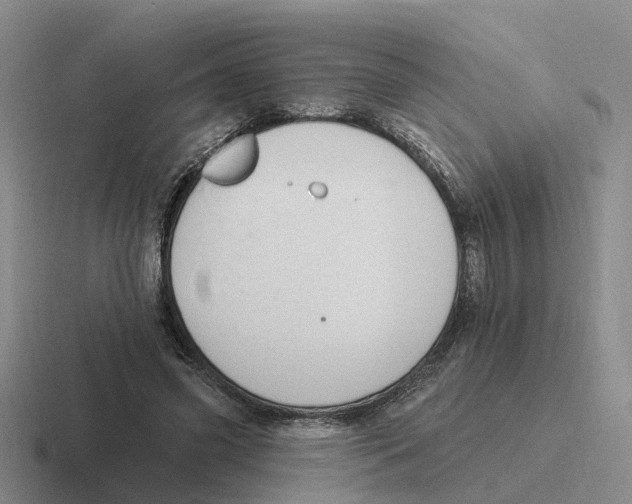 X0000116650541201001041052