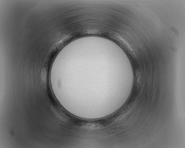 X0000116650542201001041052