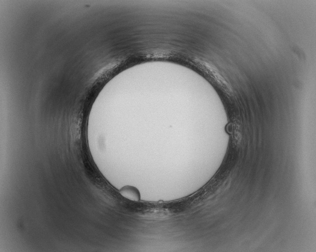 X0000116650543201001041052