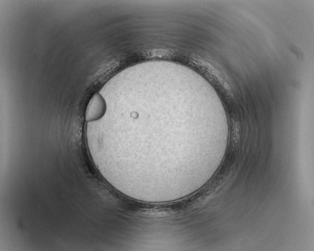 X0000116650545201001041052