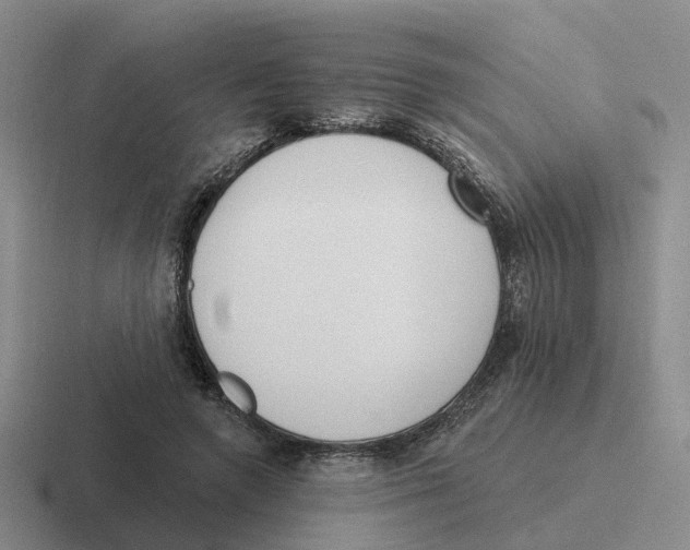 X0000116650546201001041052