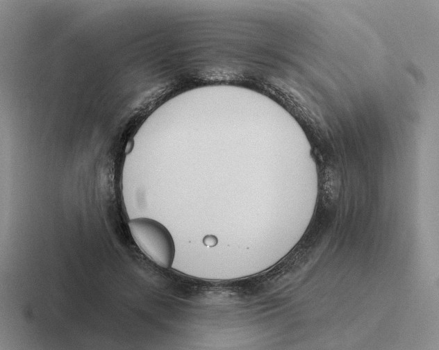 X0000116650547201001041052