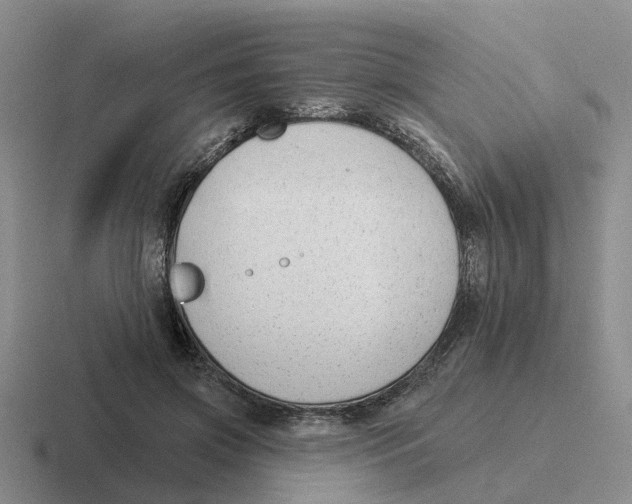 X0000116650549201001041052