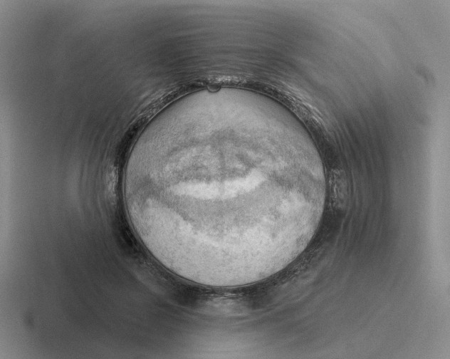 X0000116650550201001041052