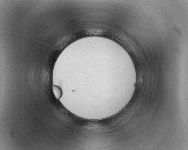 X0000116650551201001041052