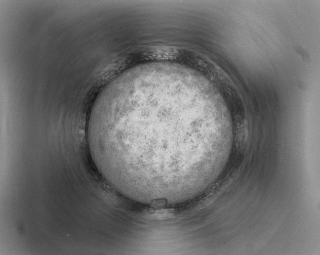 X0000116650553201001041052