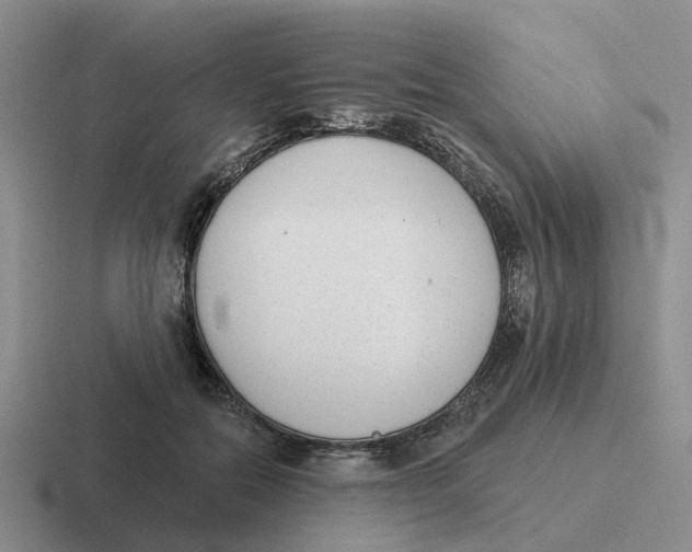 X0000116650554201001041052