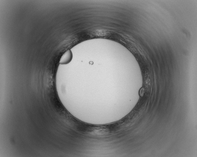 X0000116650555201001041052