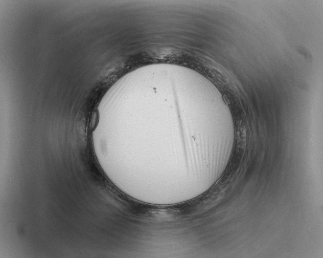 X0000116650558201001041052