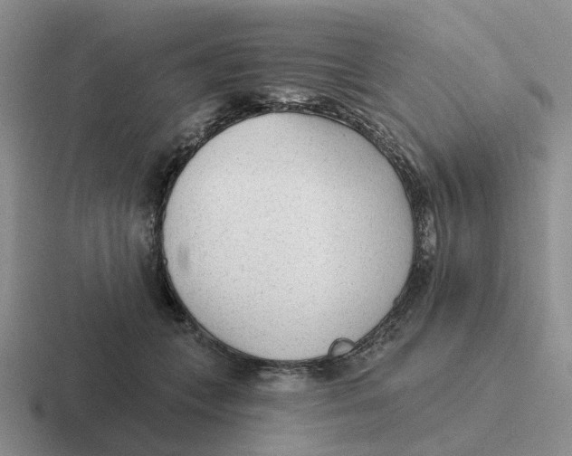 X0000116650559201001041052