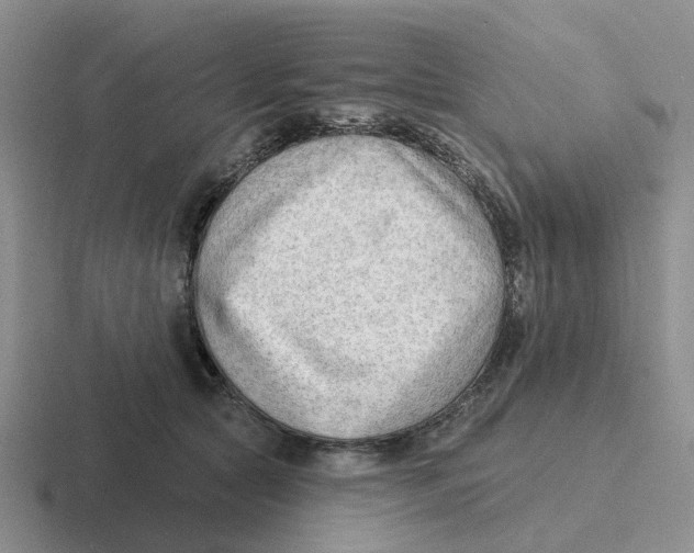 X0000116650561201001041052