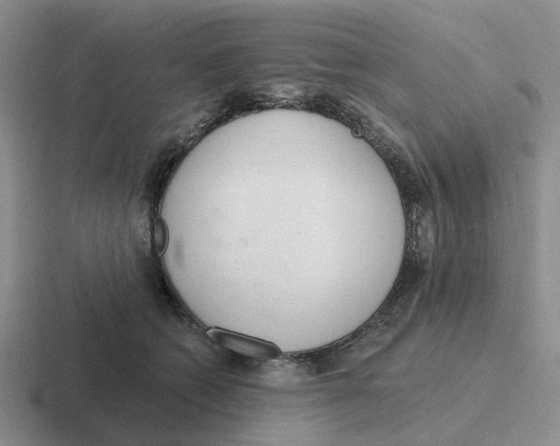 X0000116650562201001041052