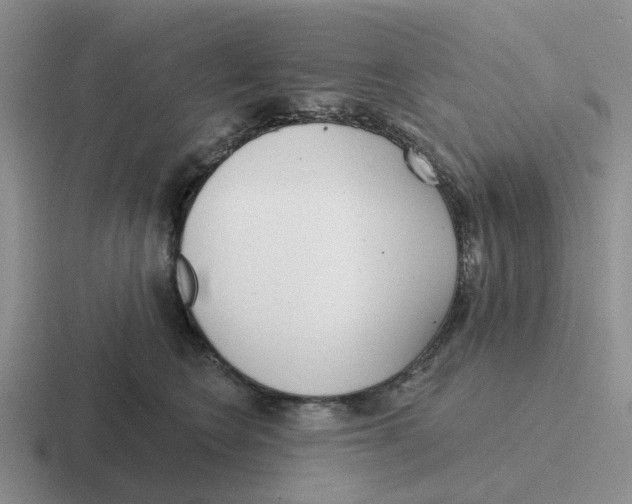 X0000116650566201001041052