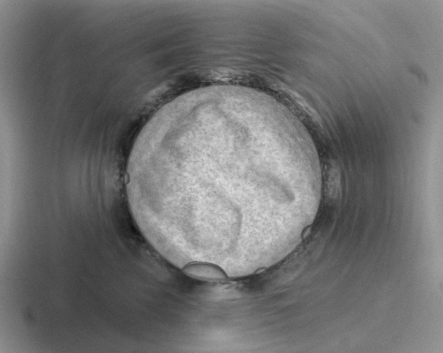 X0000116650569201001041052