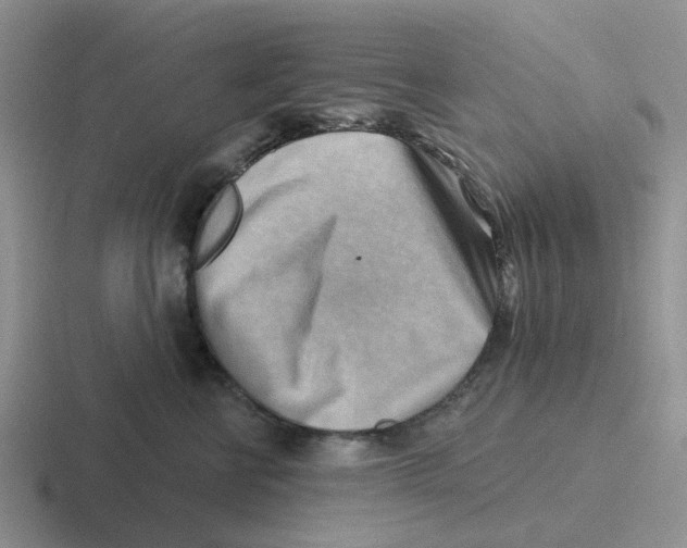 X0000116650570201001041052