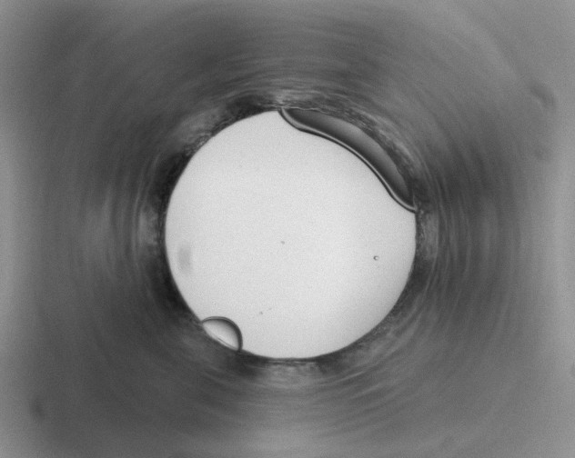 X0000116650571201001041052