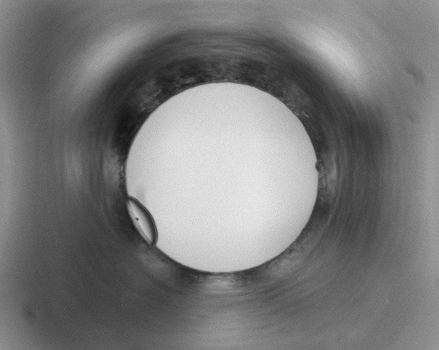 X0000116650574201001041052