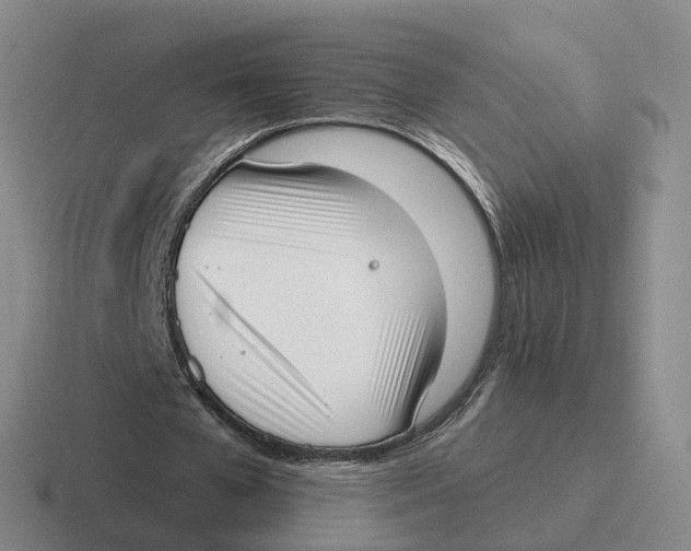 X0000116650577201001041052